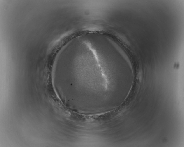 X0000113221398200910011333