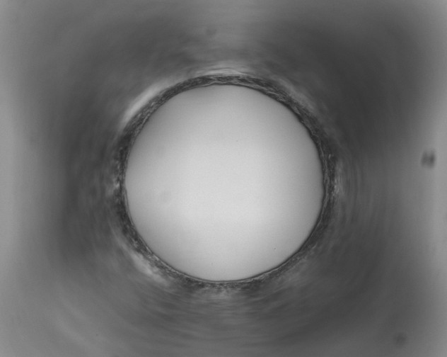 X0000113221400200910011333