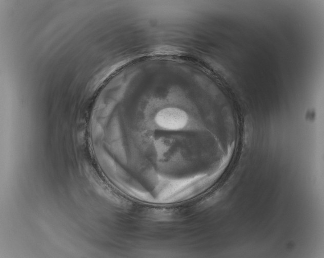 X0000113221401200910011333