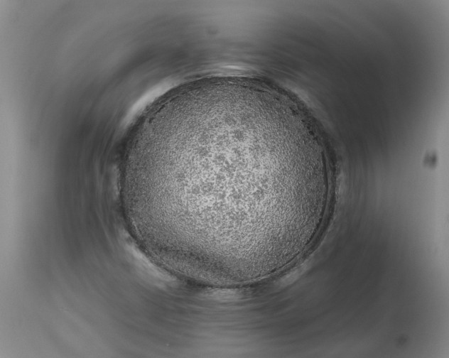 X0000113221402200910011333