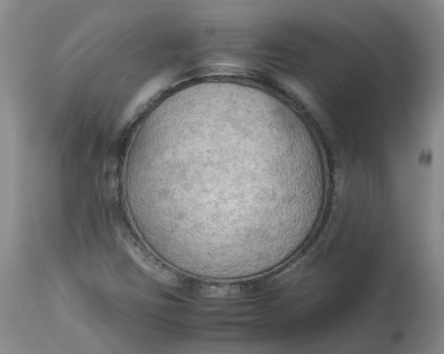 X0000113221403200910011333