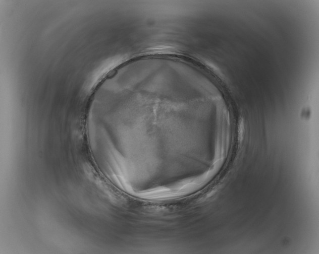 X0000113221405200910011333