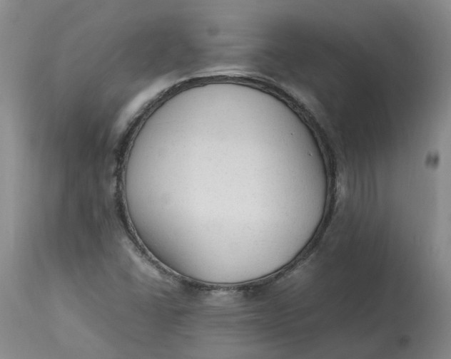 X0000113221406200910011333