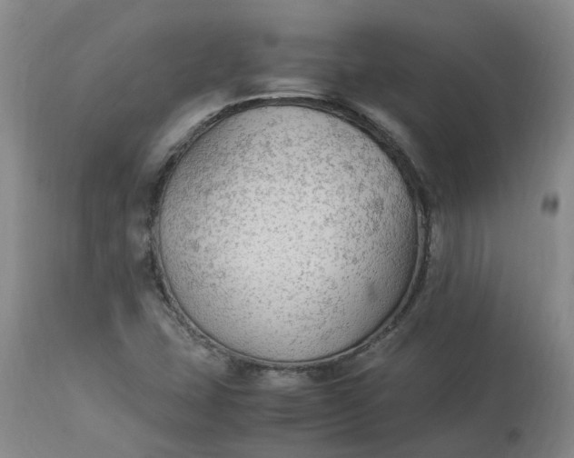 X0000113221407200910011333