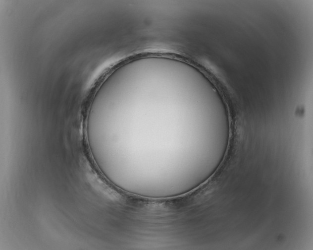 X0000113221408200910011333