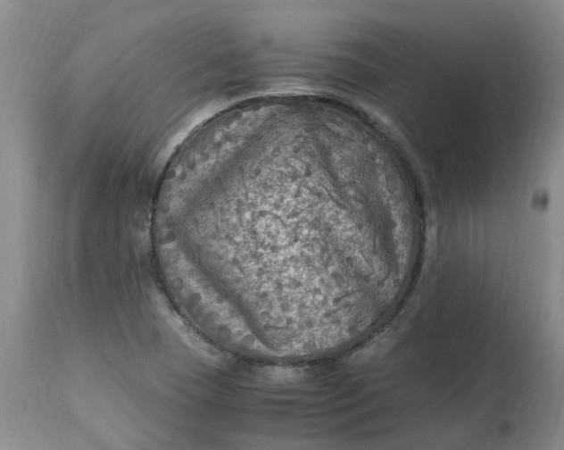 X0000113221409200910011333