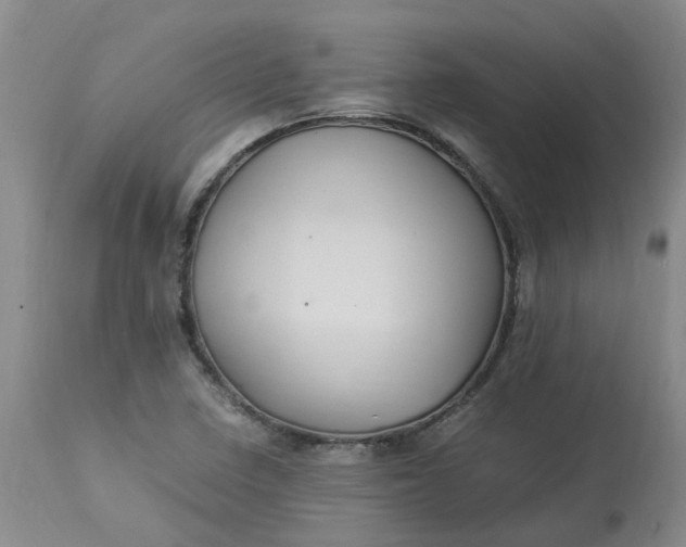 X0000113221410200910011333