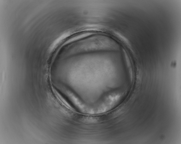 X0000113221411200910011333