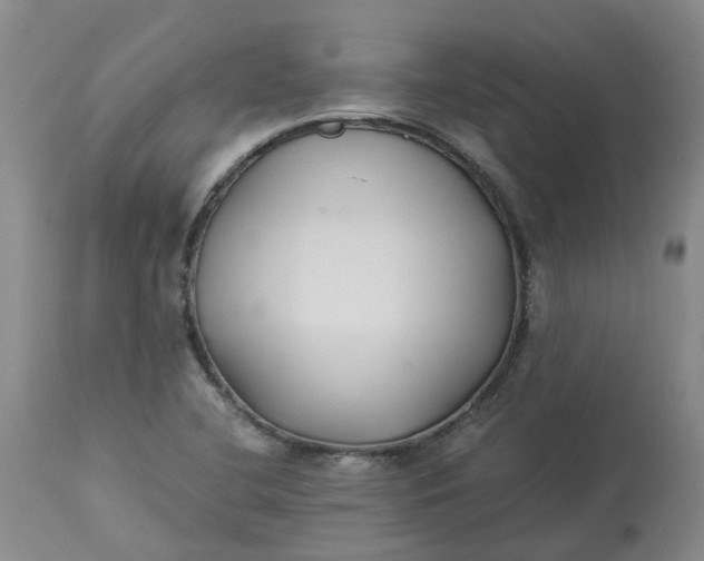 X0000113221412200910011333