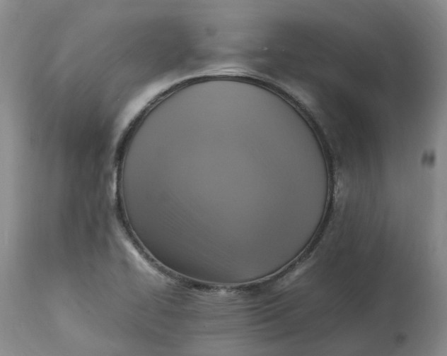 X0000113221414200910011334