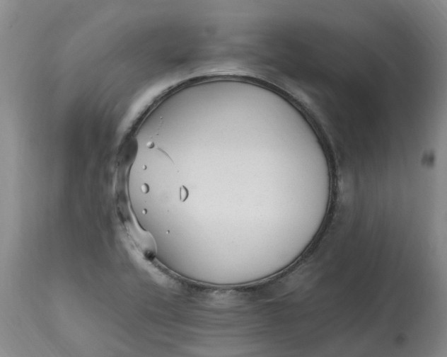 X0000113221416200910011334