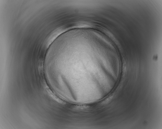 X0000113221417200910011334