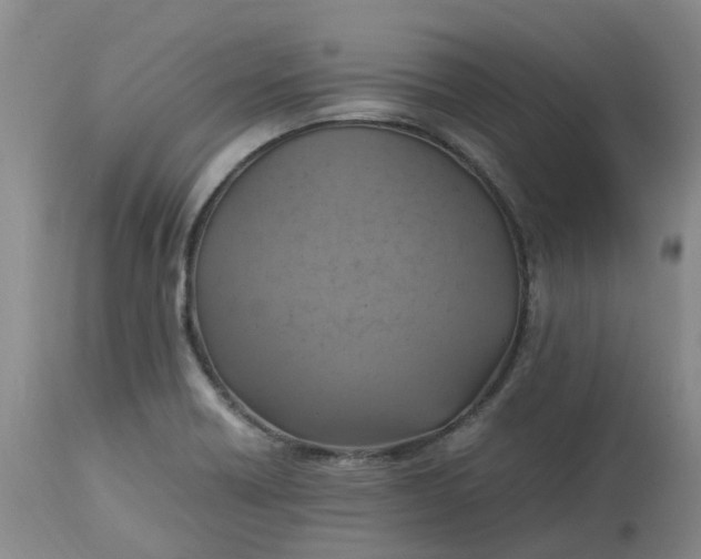 X0000113221418200910011334