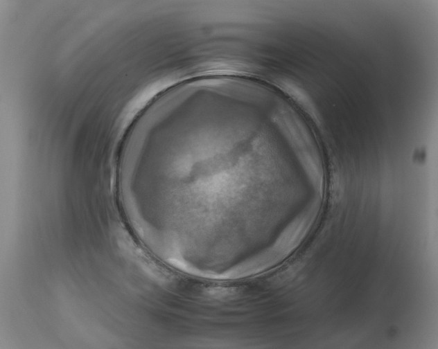 X0000113221419200910011334