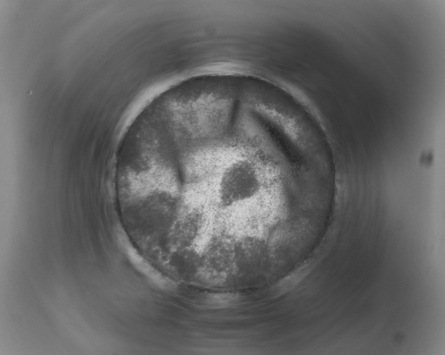 X0000113221421200910011334