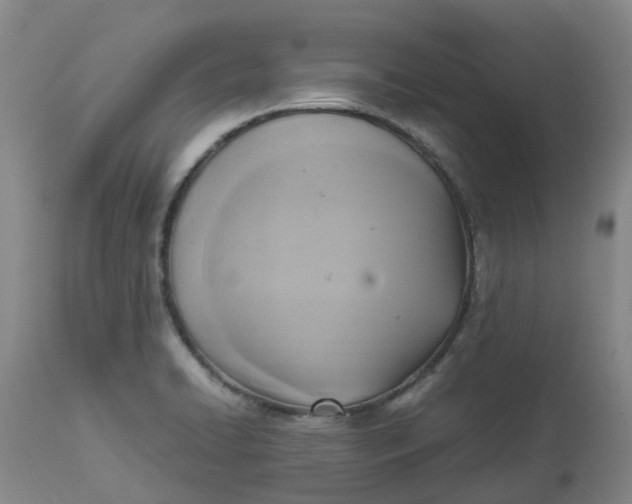 X0000113221422200910011334