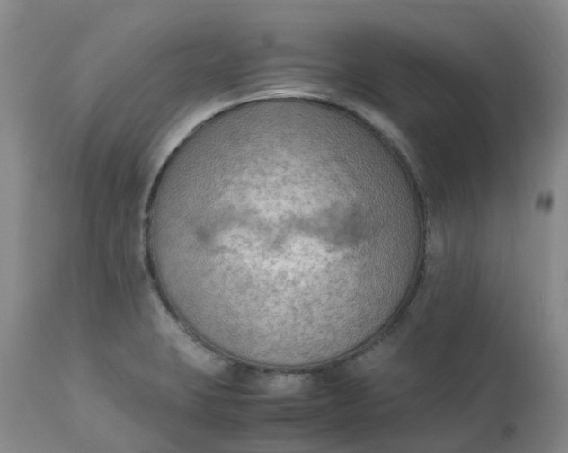 X0000113221423200910011334