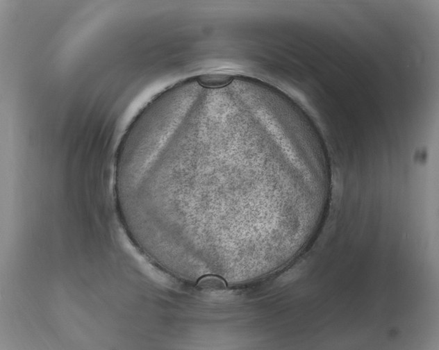 X0000113221424200910011334