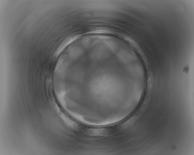 X0000113221425200910011334