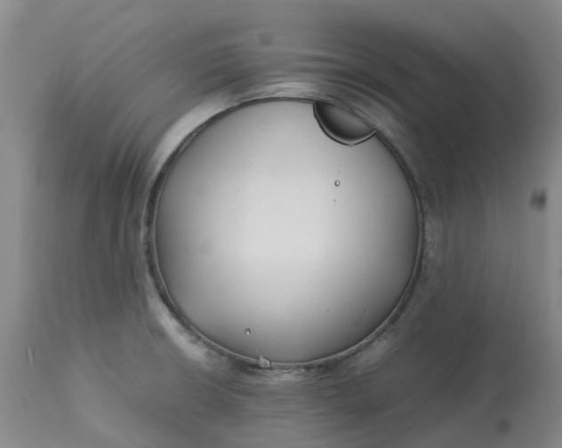 X0000113221426200910011334