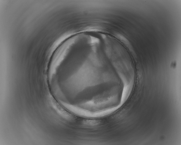 X0000113221427200910011334