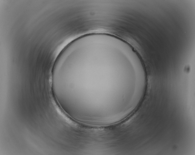 X0000113221428200910011334