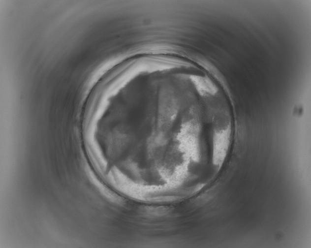 X0000113221429200910011334