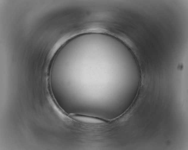 X0000113221430200910011334