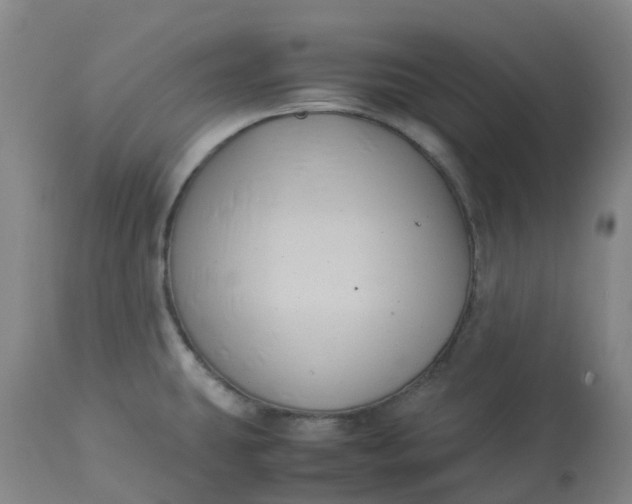 X0000113221431200910011334