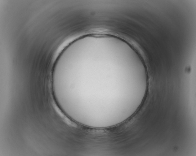 X0000113221432200910011334