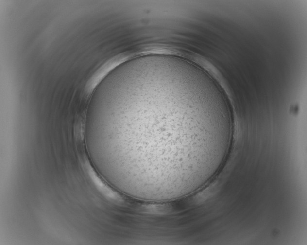 X0000113221433200910011334