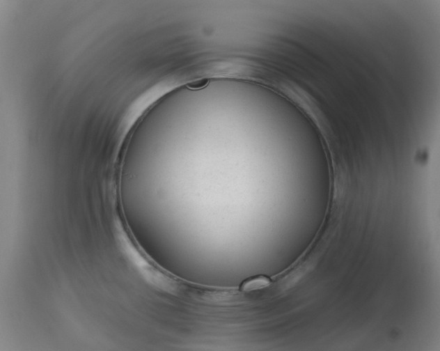 X0000113221434200910011334