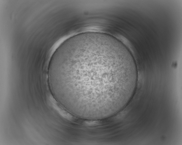 X0000113221435200910011334