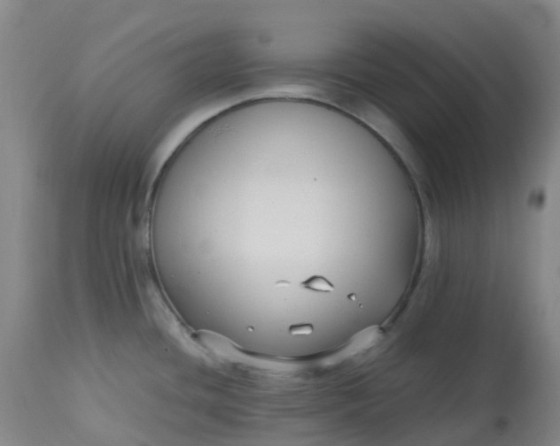 X0000113221436200910011334