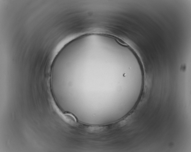 X0000113221437200910011334