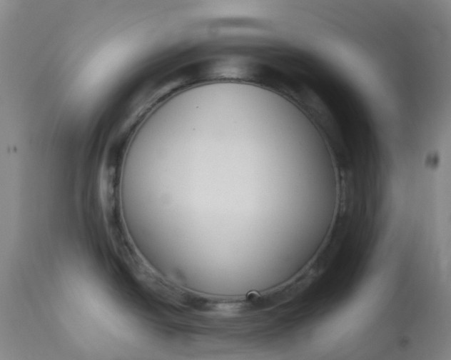 X0000113221438200910011334