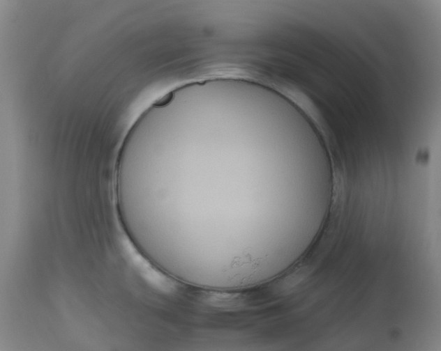 X0000113221439200910011334