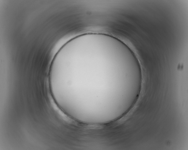 X0000113221440200910011334