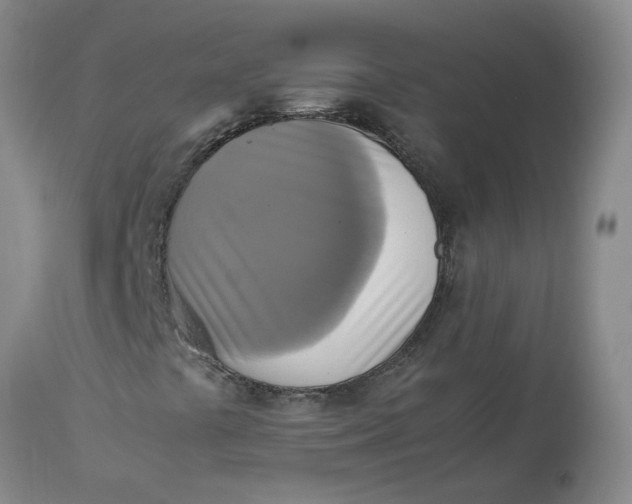 X0000113221441200910011333