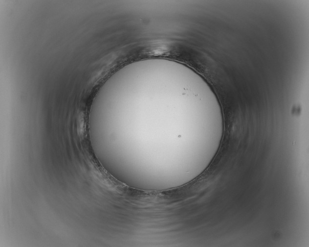 X0000113221442200910011333