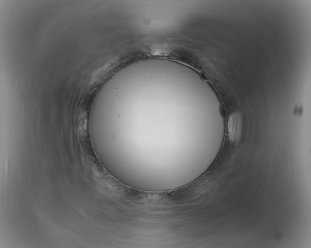 X0000113221443200910011333