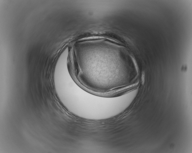 X0000113221444200910011333