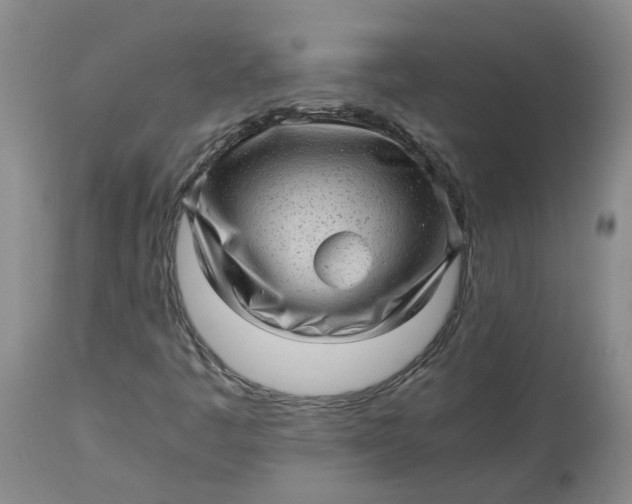 X0000113221445200910011333