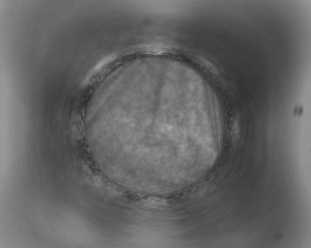 X0000113221446200910011333