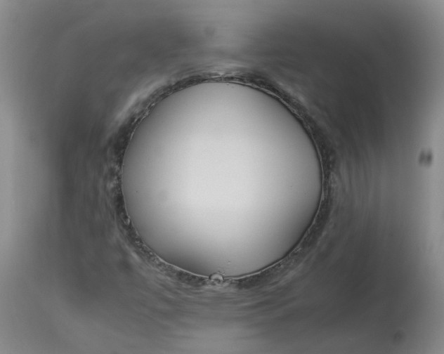 X0000113221447200910011333