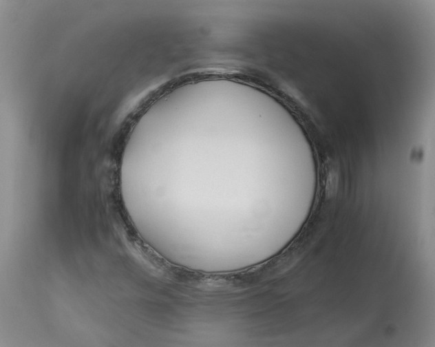 X0000113221448200910011333