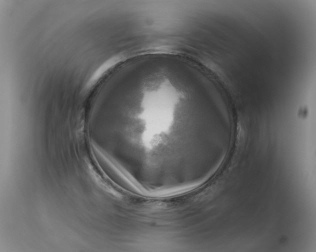 X0000113221450200910011333