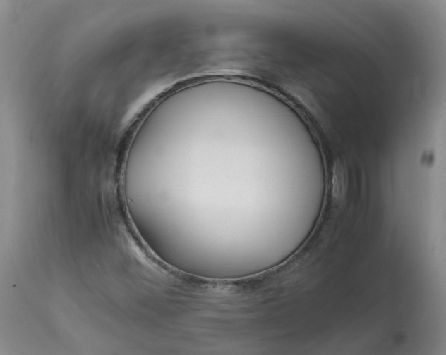 X0000113221452200910011333