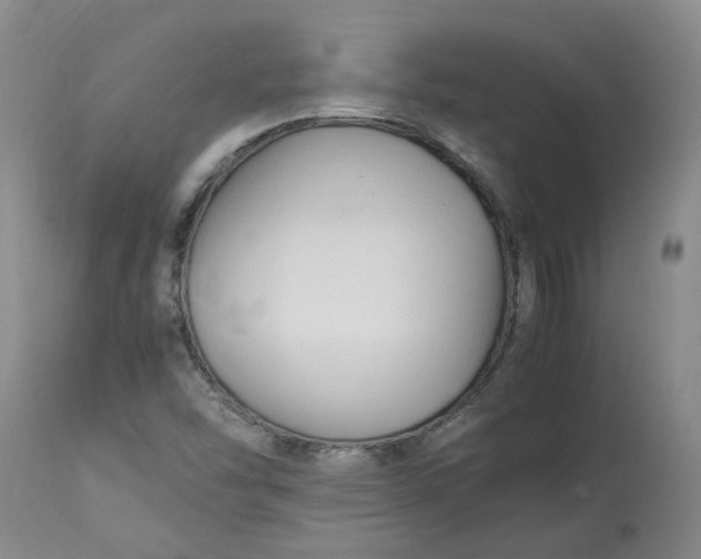 X0000113221454200910011333