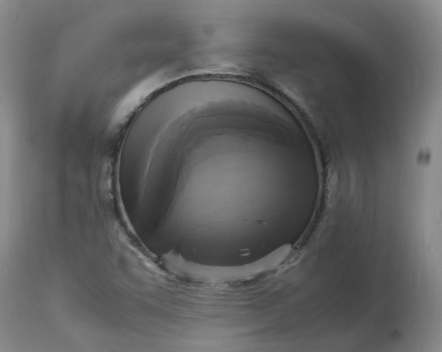 X0000113221455200910011333